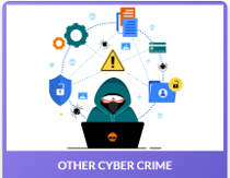 Other Cyber Crime